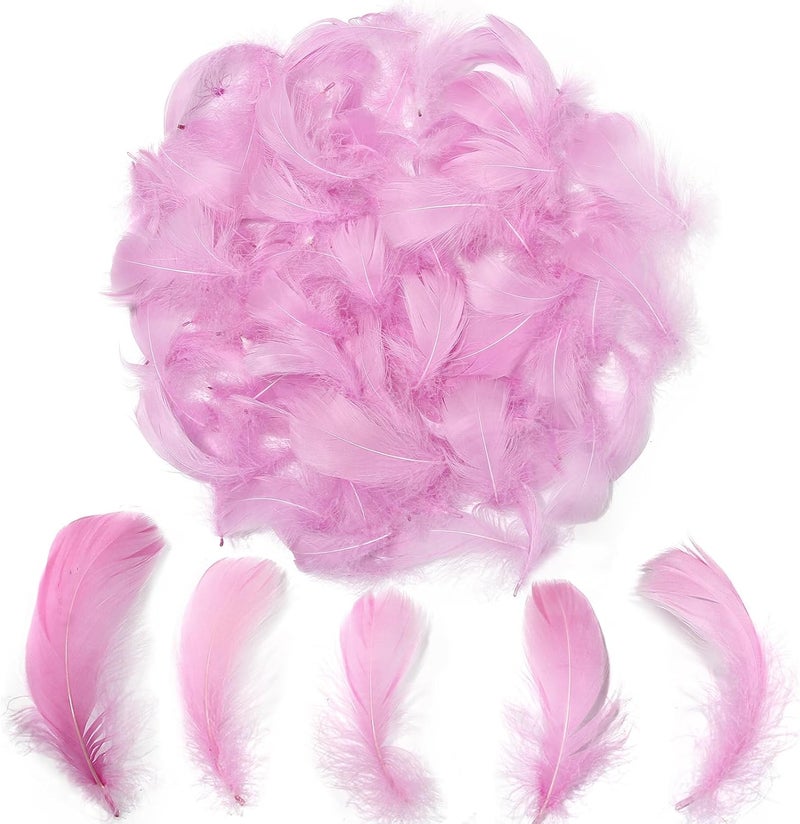 Lamar Feather 300pcs Lavender Feathers 2-3 Inches Bulk Feathers for Crafting, Dream Catcher Accessories, Art Projects, DIY Crafting, Handi Crafts, Party Decoration (Lavender) - Image 1